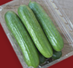 Persian Cucumbers.